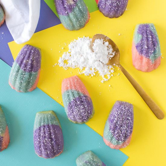 Color Block Madeleines