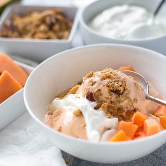Papaya Frozen Yogurt