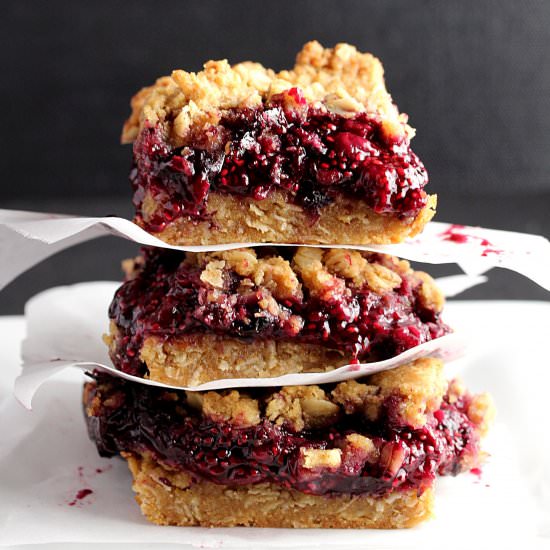 Fruit Crumble Bars
