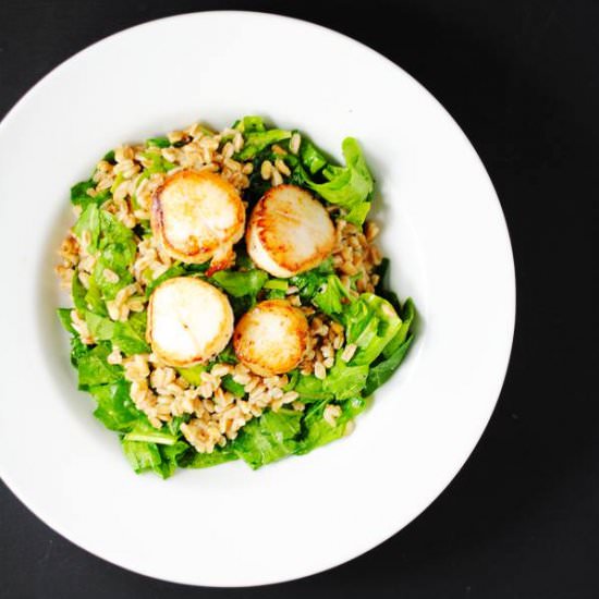 Lemony farro with scallops