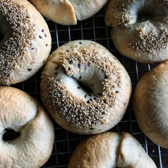 Bagels