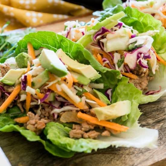 Spicy Pork Tacos