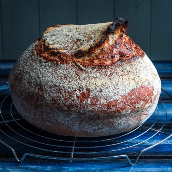Basic Country Bread