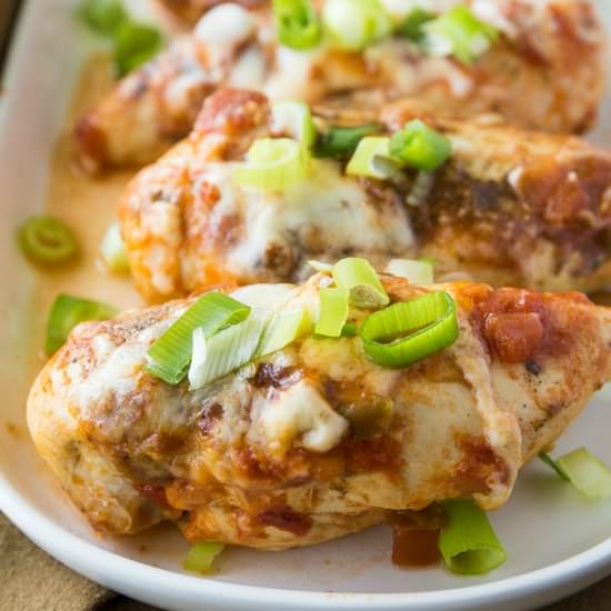 Salsa Chicken