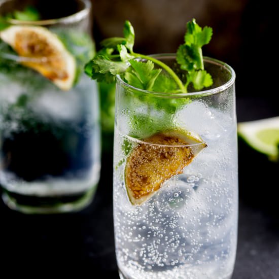 Lime Gin & Tonic with Fresh Coriander