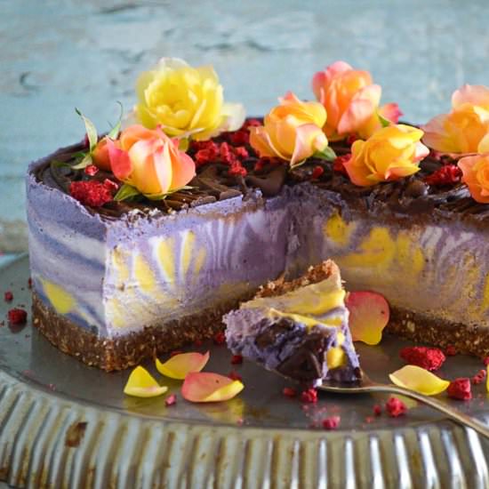 Mango, Maqui and Vanilla Cheesecake