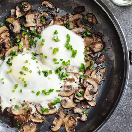 Sauteed Mushrooms Eggs Truffle Oil