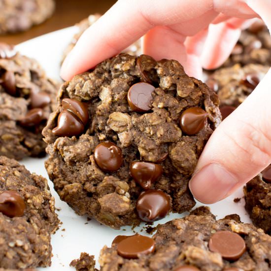 Double Chocolate Oatmeal Cookies