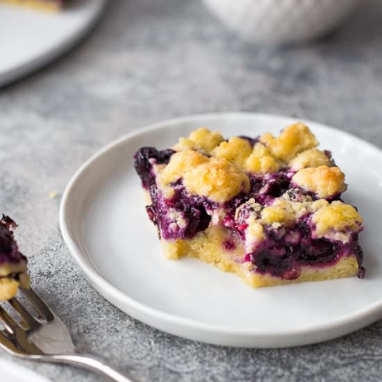 Blueberry Crumb Bars