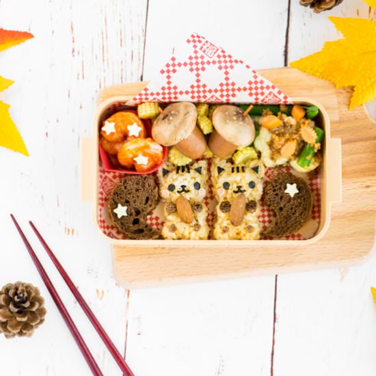 Autumn Squirrel Onigiri Bento Box