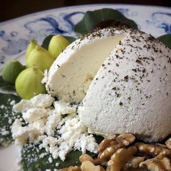 Columella’s Goat Cheese