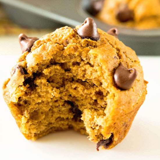 Chocolate Chip Pumpkin Muffins