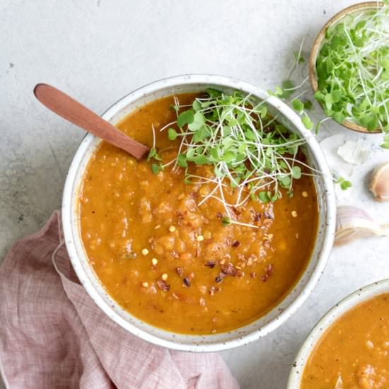 Spiced Carrot and Lentil Soup