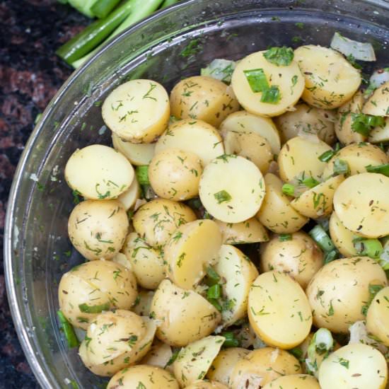 German Dill Potato Salad