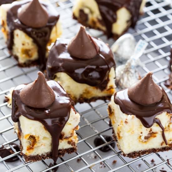 Chocolate Ganache Cheesecake Bites