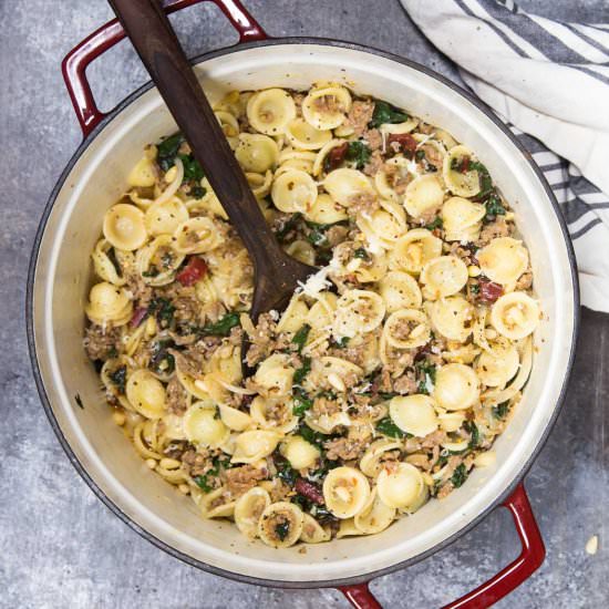 One Pot Orecchiette Pasta