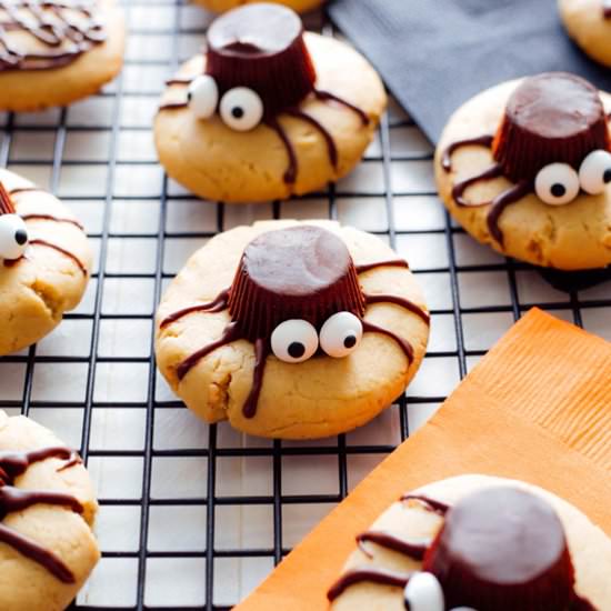 Spooky Spider Cookies