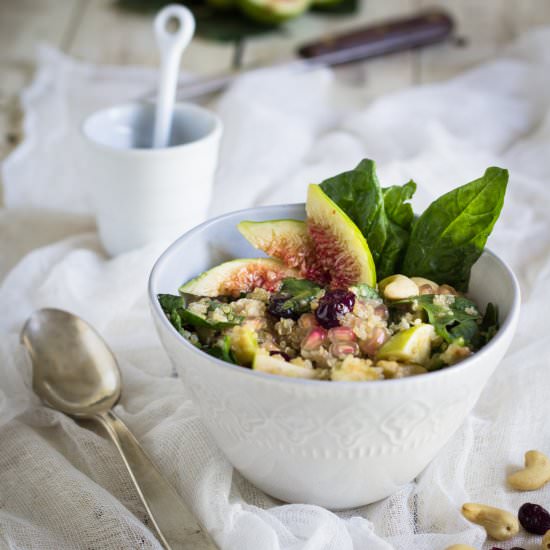 Cranberrries Quinoa Salad