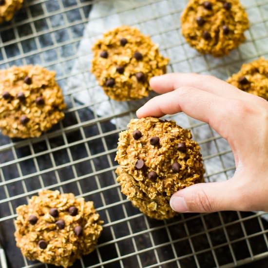 Skinny Pumpkin Protein Cookies