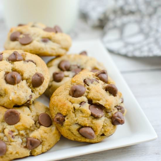 Paleo Chocolate Chip Coconut Cookie