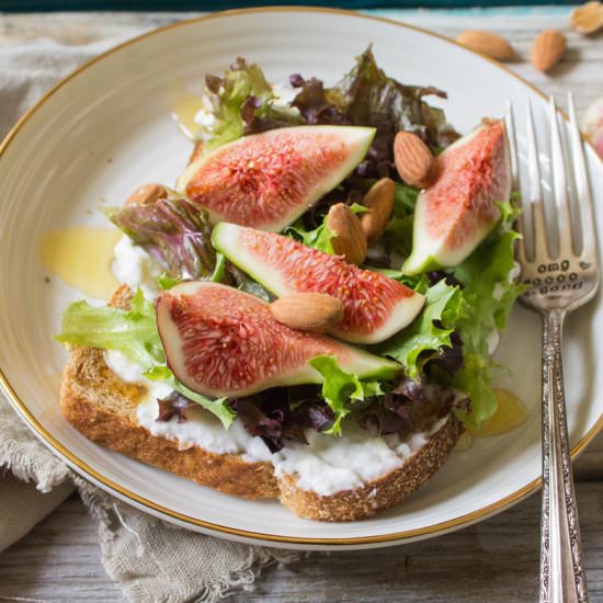 Honey Fig Burrata Toast