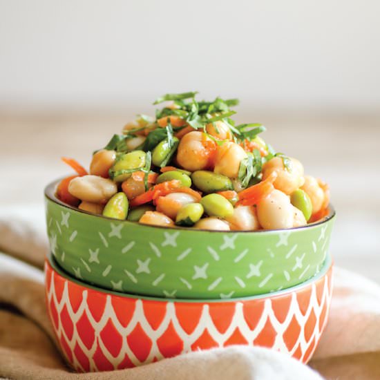 Sweet and Spicy Three Bean Salad