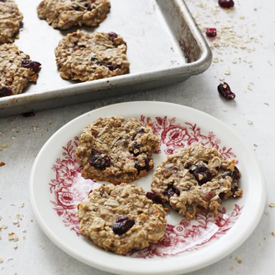 Cranberry Coconut Cookies