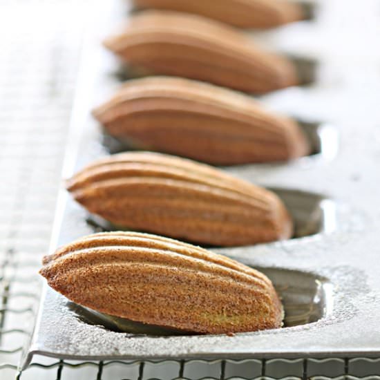 Matcha Madeleines