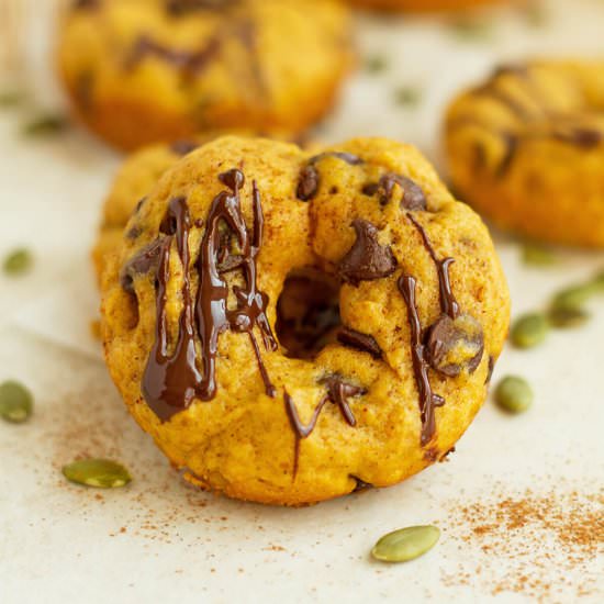 Chocolate Chips Pumpkin Spice Donut