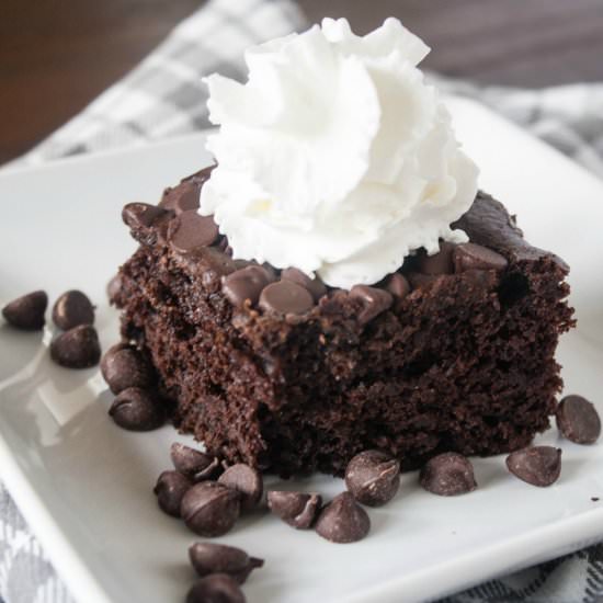 Fast Fixin’ Chocolate Chip Cake