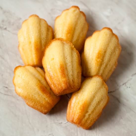 Maple Syrup Madeleines