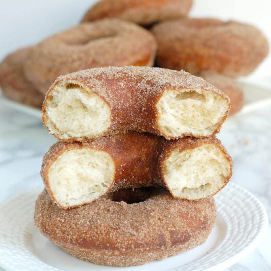 Sourdough Donuts w/ Cinnamon Sugar
