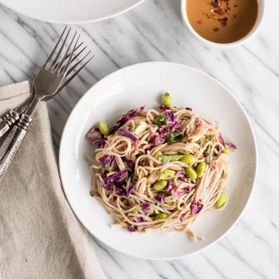 Cold Soba Noodle Peanut Salad