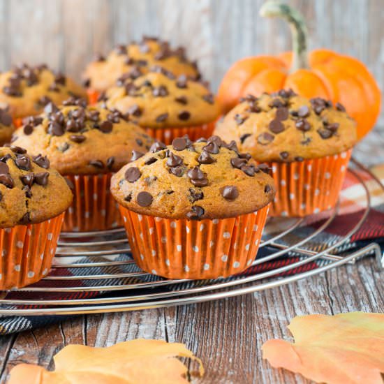 Pumpkin Chocolate Chip Muffins