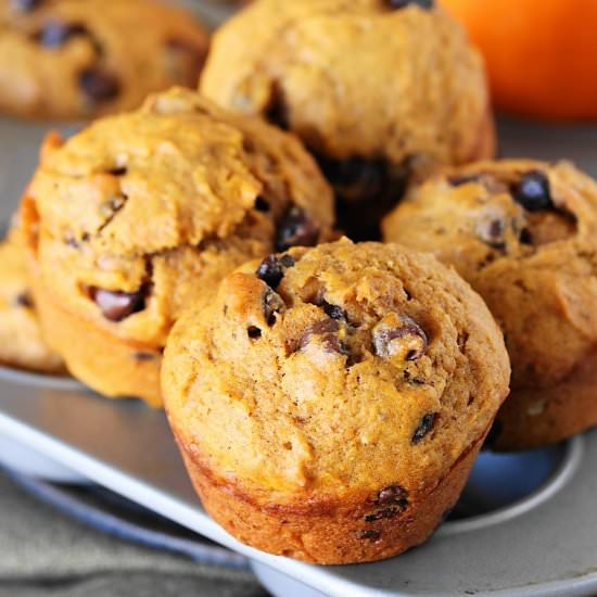 Chocolate Chip Pumpkin Muffins