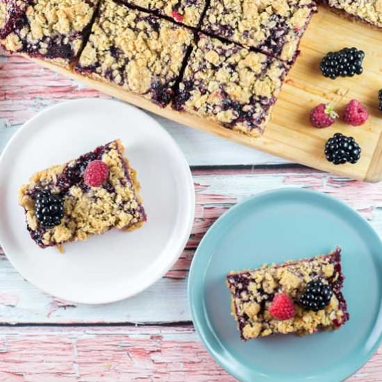 Berry Oatmeal Crumble Bars