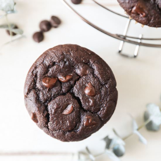 Chocolate Pumpkin Blender Muffins