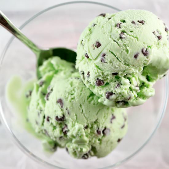 Mint Chocolate Chip Ice Cream