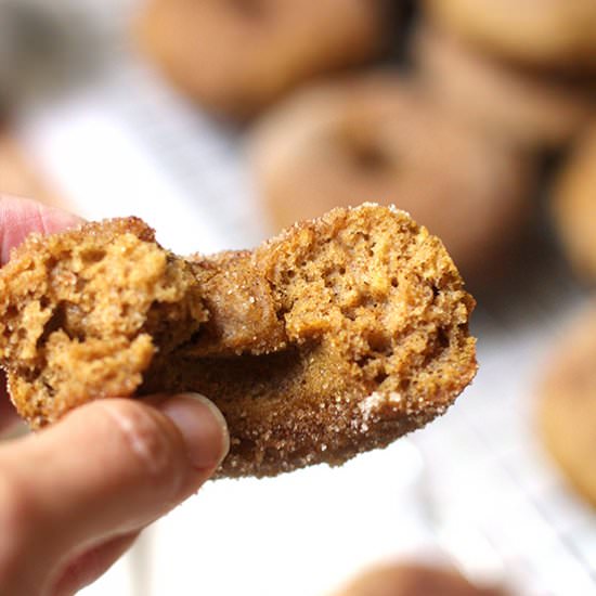 Baked Pumpkin Donuts with Cinnamon