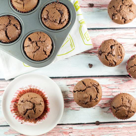 Chocolate Chocolate Chip Muffins