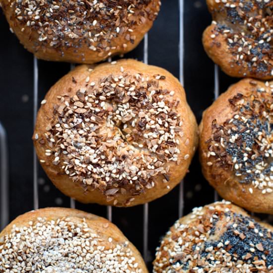 Homemade Bagels