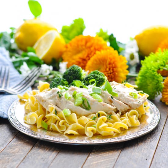 Cream of Mushroom Chicken