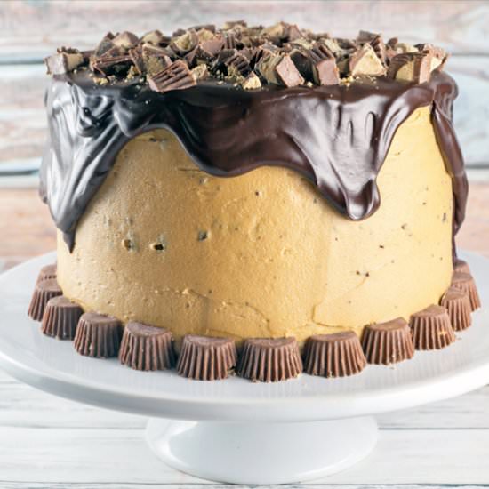 Chocolate Peanut Butter Cup Cake