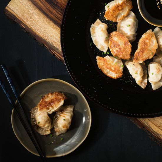 Japanese gyoza pork dumplings