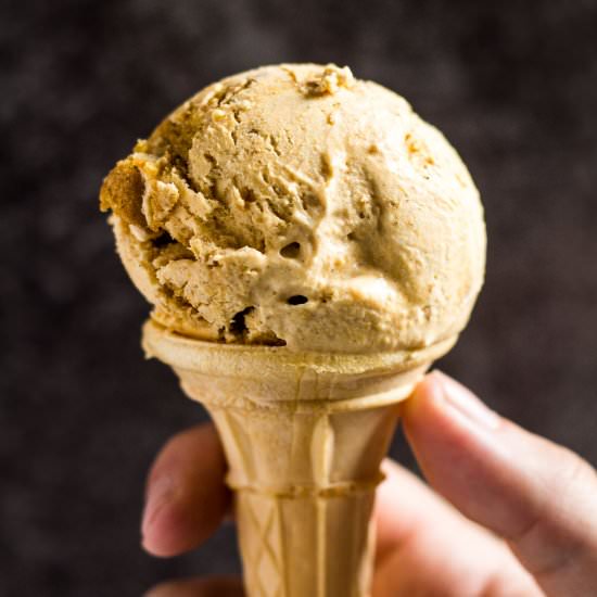 Pumpkin Gingerbread Ice Cream