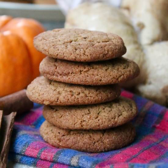 Cinnamon Gingerdoodles