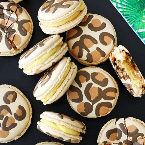 Leopard macarons