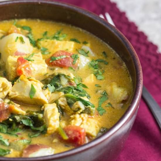 Low FODMAP Turkey Coconut Curry