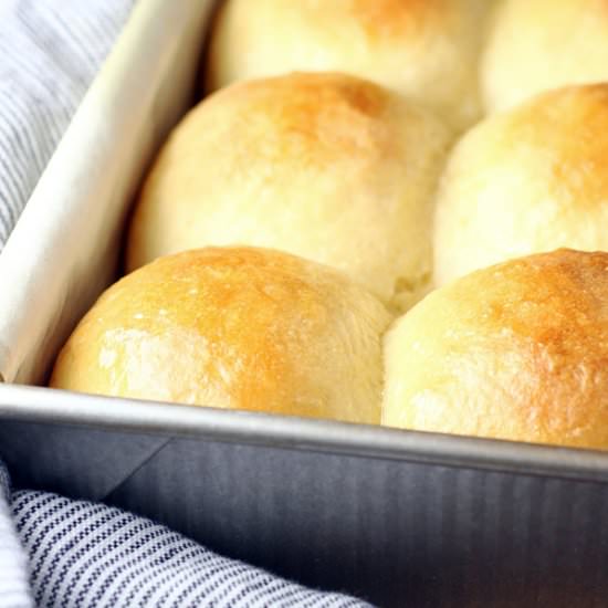 No Knead Dinner Rolls