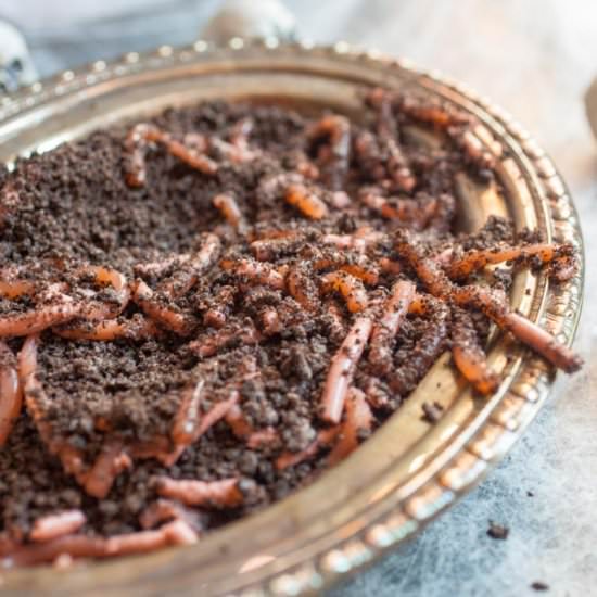 Homemade Realistic Worms!